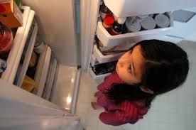 The Fridge
