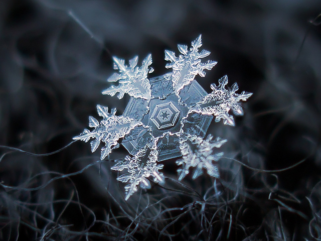 Super Lovable Snowflake 